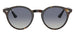 Ray-Ban 2180 Light Havana Light Grey Dark Blue Gradient RB2180 710/4L (49)