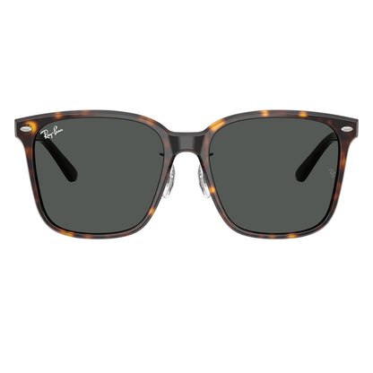 Ray-Ban 2206D Havana Dark Grey RB2206D 710/87 (57)