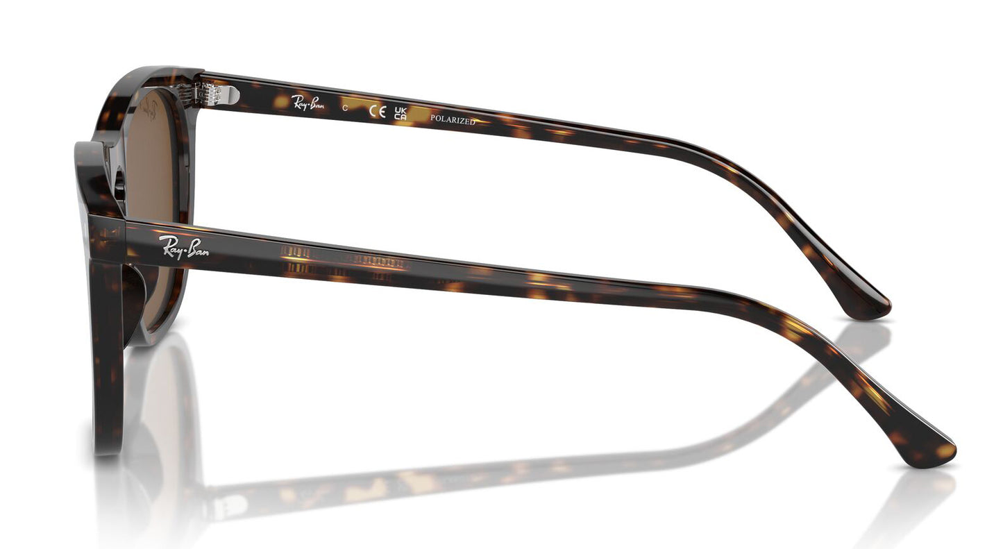 Ray-Ban 2210 Polarised Havana Brown RB2210 902/57 (53)