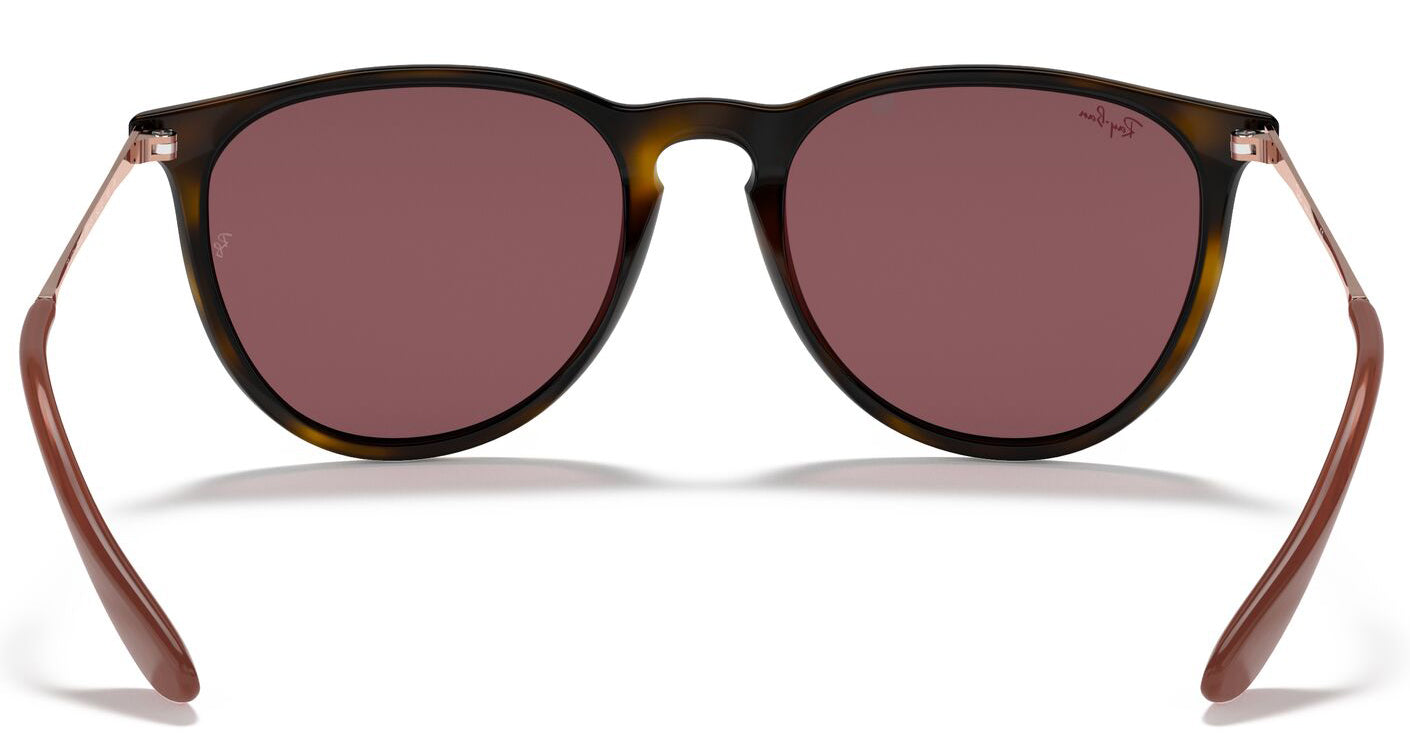 Ray-Ban 4171 Erika Havana Dark Violet RB4171 639175 (54)