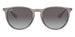 Ray-Ban 4171 Erika Transparent Grey Grey Gradient RB4171 65138G (54)