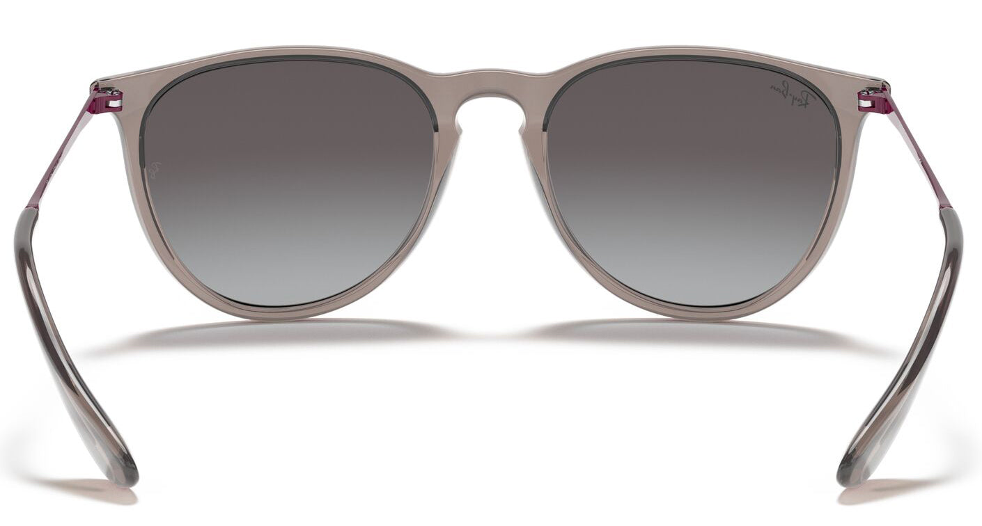 Ray-Ban 4171 Erika Transparent Grey Grey Gradient RB4171 65138G (54)