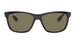 Ray-Ban 4181 Polarised Shiny Black Grey (4181 601/9A)