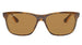 Ray-Ban 4181 Polarised Shiny Tort Brown (4181 710/83)