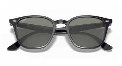 Ray-Ban 4258 Gloss Black Green (4258 601/71)