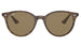 Ray-Ban 4305 Gloss Havana Brown (4305 710/73)