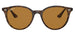 Ray-Ban 4305 Polarised Light Havana Brown  RB4305 710/83 (53)