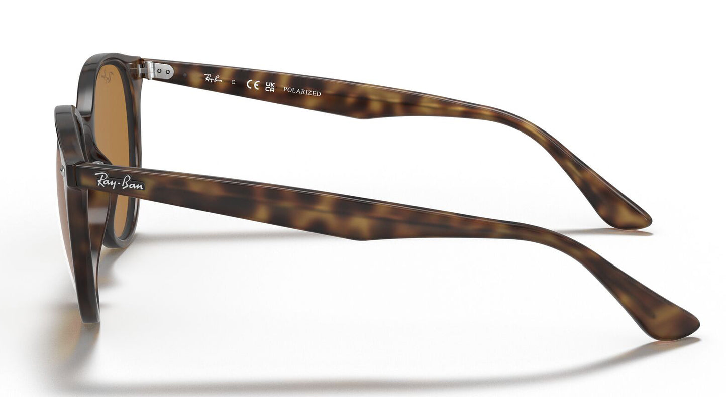 Ray-Ban 4305 Polarised Light Havana Brown  RB4305 710/83 (53)