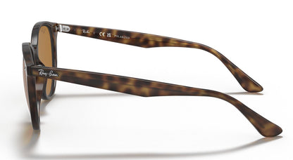 Ray-Ban 4305 Polarised Light Havana Brown  RB4305 710/83 (53)