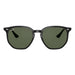 Ray-Ban 4306 Black Dark Green RB4306 601/71 (54)