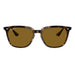 Ray-Ban 4362 Polarised Havana Brown RB4362 710/83 (55)