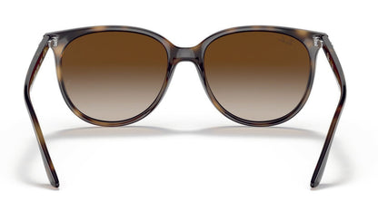 Ray-Ban 4378 Havana Gradient Brown (4378 710/13)