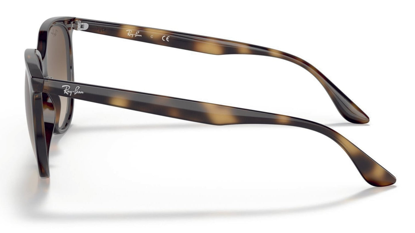 Ray-Ban 4378 Havana Gradient Brown (4378 710/13)