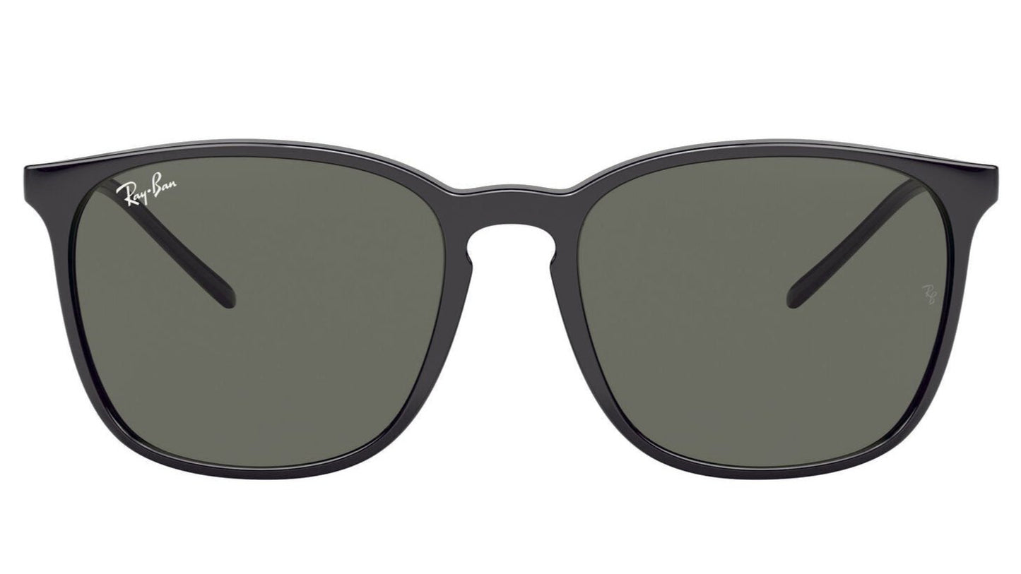 Ray-Ban 4387 Gloss Black Green (4387 601/71)