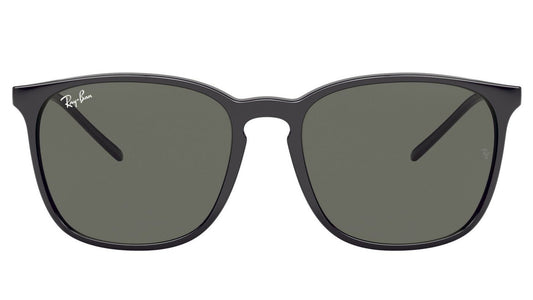 Ray-Ban 4387 Gloss Black Green (4387 601/71)