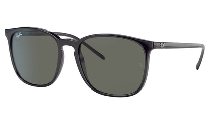 Ray-Ban 4387 Gloss Black Green (4387 601/71)