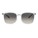 Ray-Ban 4387 Transparent Grey Gradient RB4387 647711 (56)