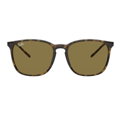 Ray-Ban 4387 Light Havana B-15 Brown RB4387 710/73 (56)