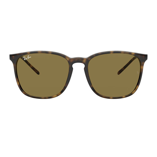 Ray-Ban 4387 Light Havana B-15 Brown RB4387 710/73 (56)