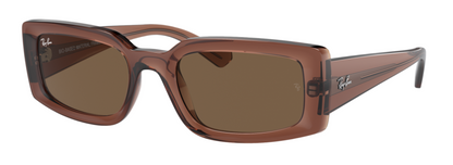 Ray-Ban Kiliane 4395 Transparent Brown Dark Brown  (4395 667873)