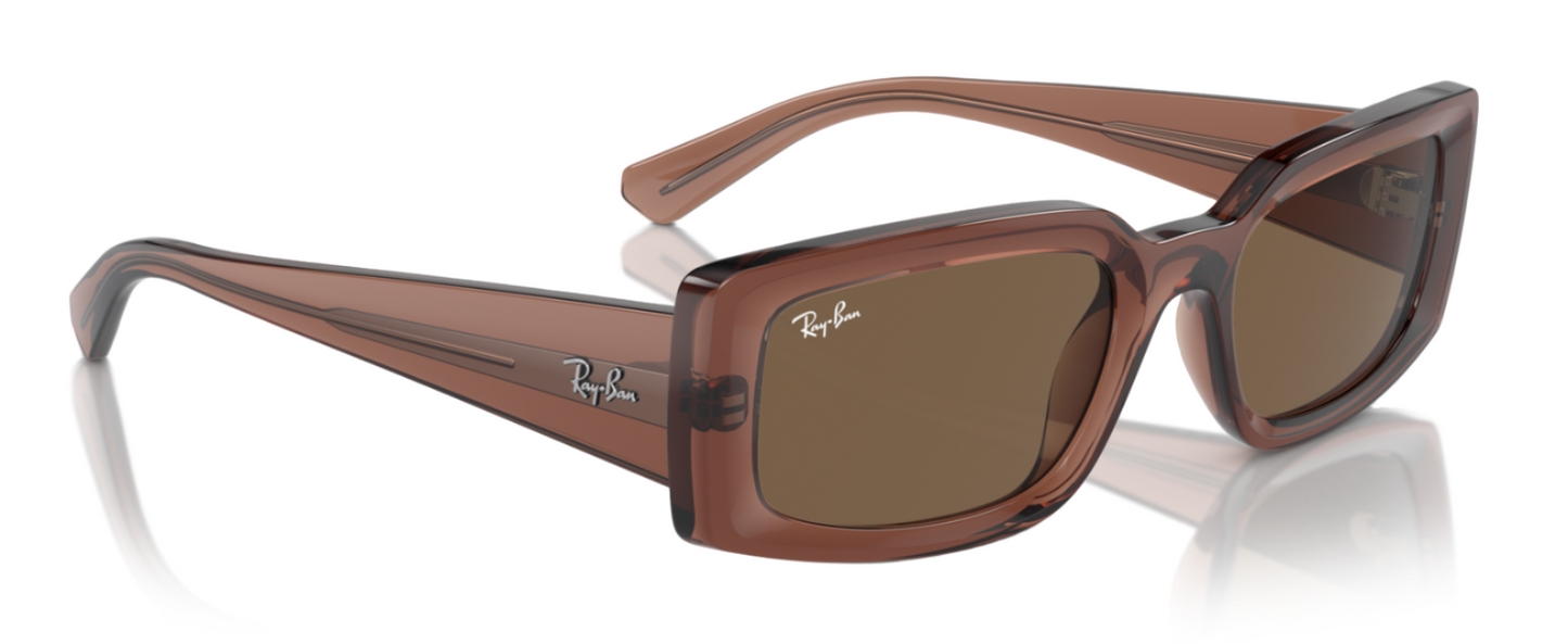 Ray-Ban Kiliane 4395 Transparent Brown Dark Brown  (4395 667873)