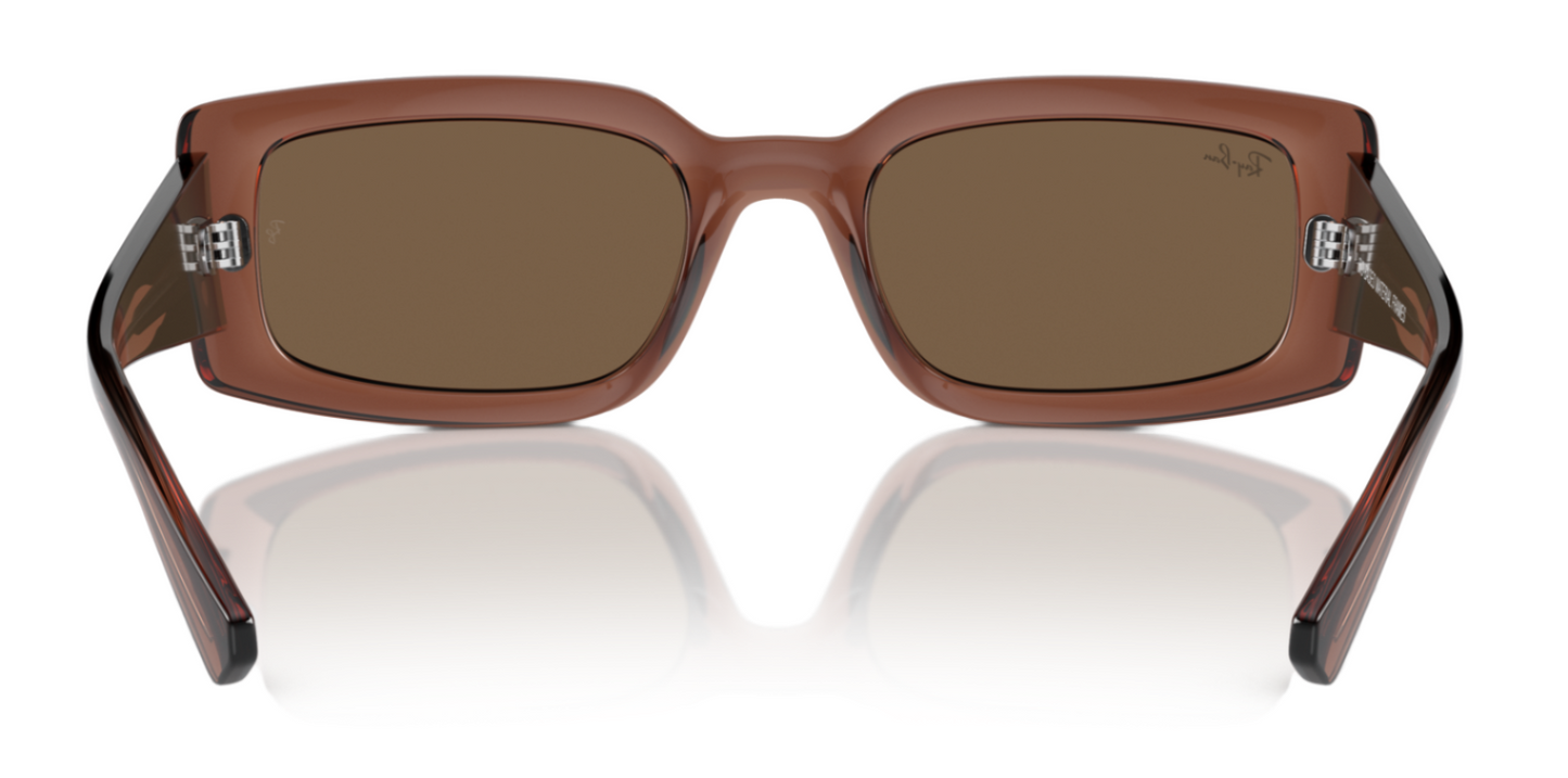 Ray-Ban Kiliane 4395 Transparent Brown Dark Brown  (4395 667873)
