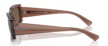 Ray-Ban Kiliane 4395 Transparent Brown Dark Brown  (4395 667873)