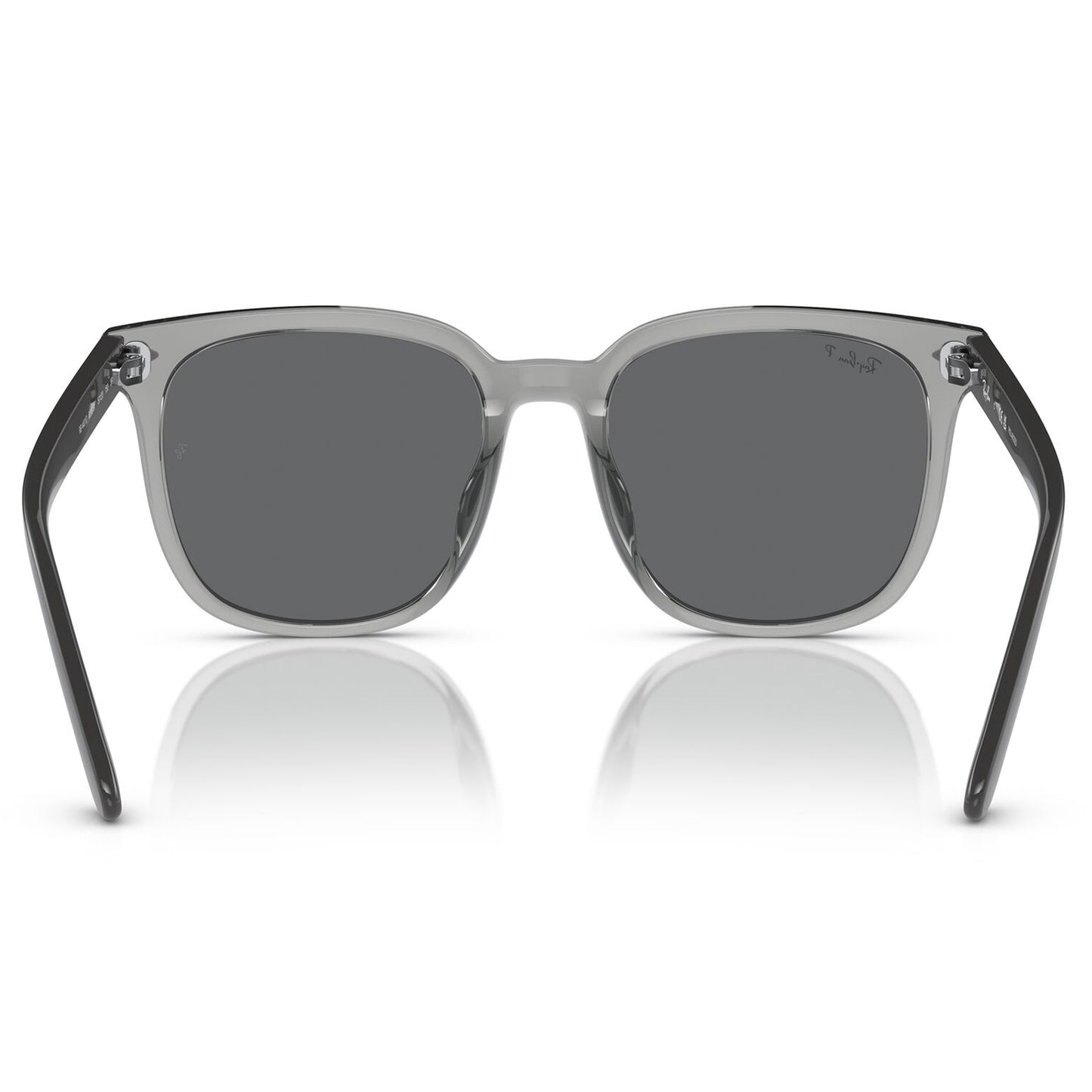 Ray-Ban 4401D Polarised Transparent Grey Dark Grey RB4401D 659981 (55)
