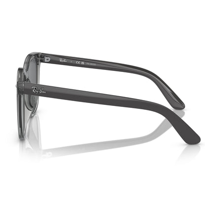 Ray-Ban 4401D Polarised Transparent Grey Dark Grey RB4401D 659981 (55)