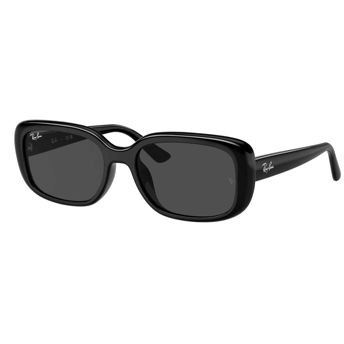 Ray-Ban 4421D Black Dark Grey RB4421D 667787 (56)