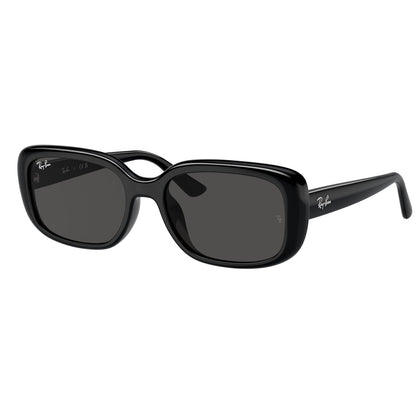 Ray-Ban 4421D Black Dark Grey RB4421D 667787 (56)