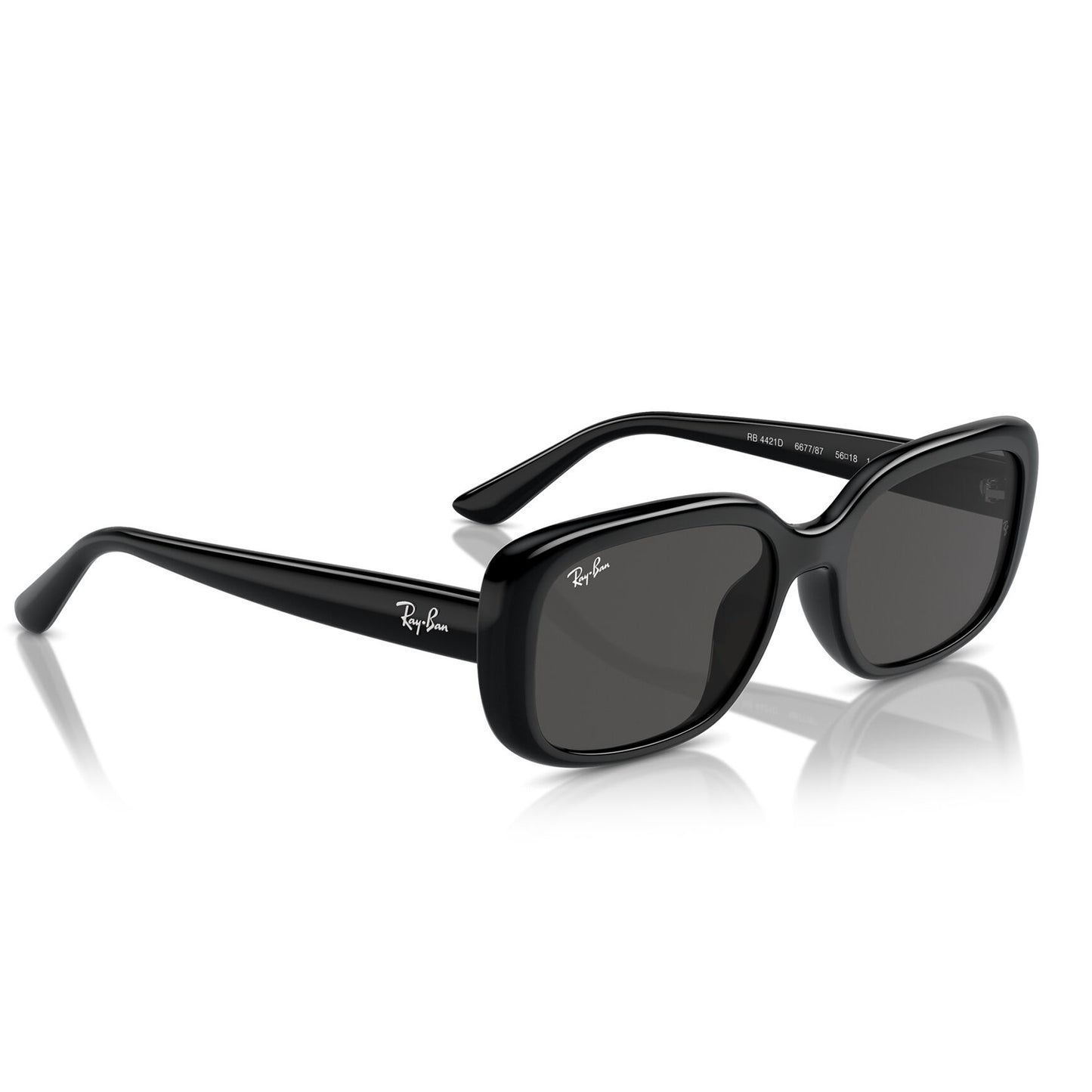 Ray-Ban 4421D Black Dark Grey RB4421D 667787 (56)