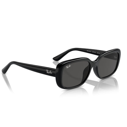 Ray-Ban 4421D Black Dark Grey RB4421D 667787 (56)