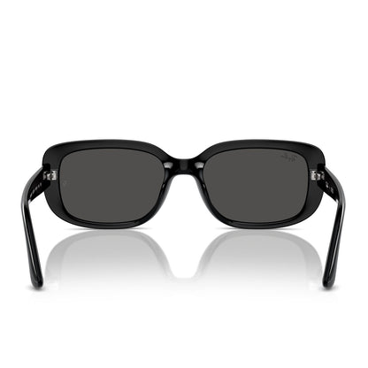 Ray-Ban 4421D Black Dark Grey RB4421D 667787 (56)