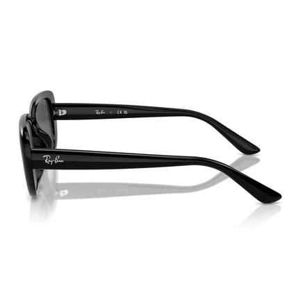 Ray-Ban 4421D Black Dark Grey RB4421D 667787 (56)