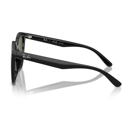 Ray-Ban 4423D Polarised Black Dark Green RB4423D 601/9A (66)