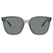 Ray-Ban 4423D Transparent Grey Dark Grey RB4423D 645087 (66)