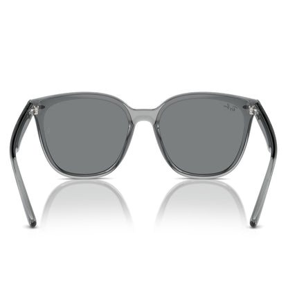Ray-Ban 4423D Transparent Grey Dark Grey RB4423D 645087 (66)