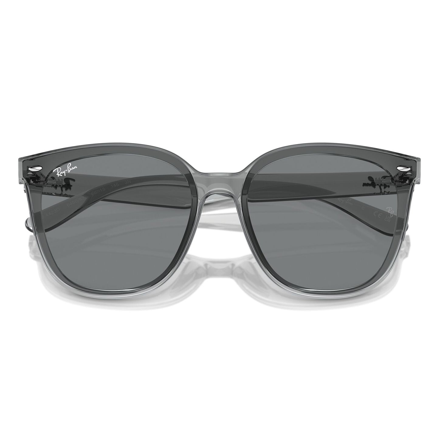 Ray-Ban 4423D Transparent Grey Dark Grey RB4423D 645087 (66)