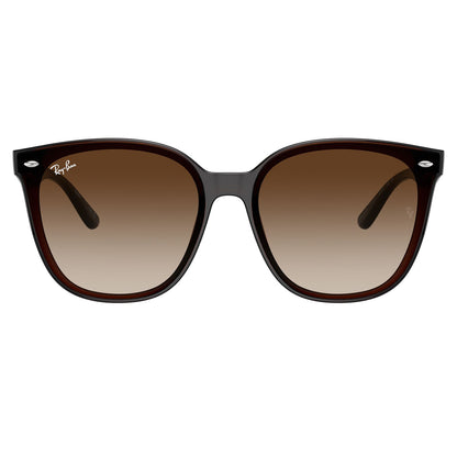 Ray-Ban 4423D Transparent Brown Brown Gradient RB4423D 714/13 (66)