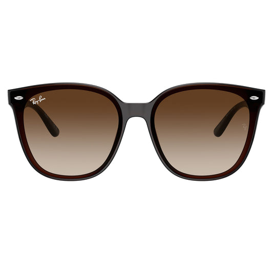 Ray-Ban 4423D Transparent Brown Brown Gradient RB4423D 714/13 (66)