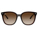 Ray-Ban 4423D Transparent Brown Brown Gradient RB4423D 714/13 (66)