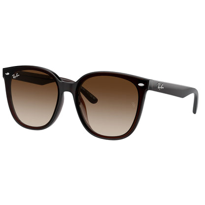 Ray-Ban 4423D Transparent Brown Brown Gradient RB4423D 714/13 (66)