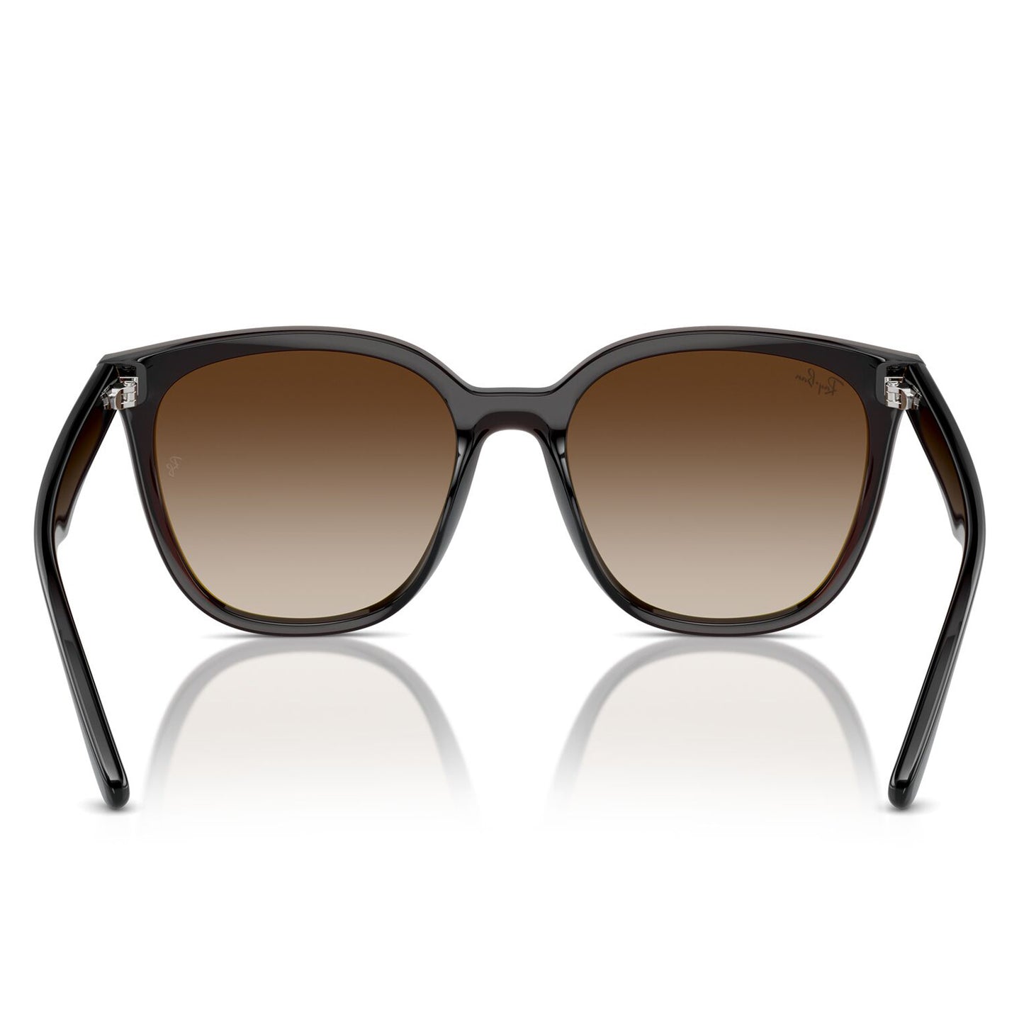 Ray-Ban 4423D Transparent Brown Brown Gradient RB4423D 714/13 (66)
