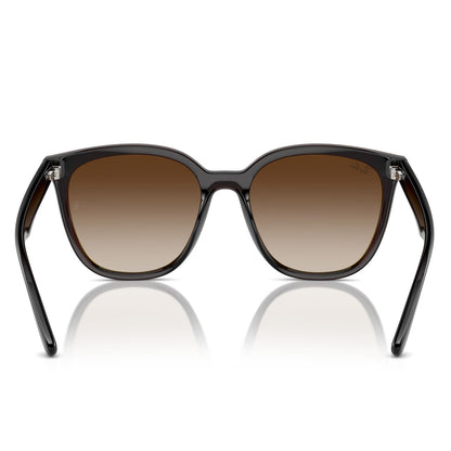 Ray-Ban 4423D Transparent Brown Brown Gradient RB4423D 714/13 (66)