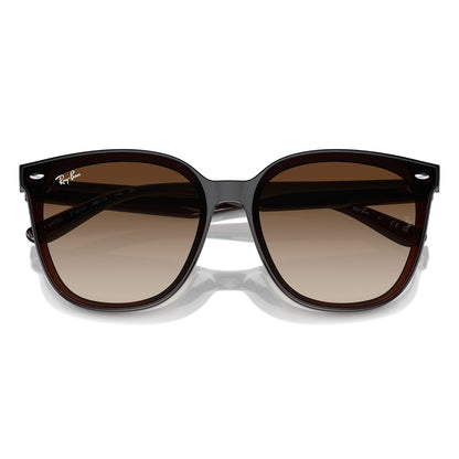 Ray-Ban 4423D Transparent Brown Brown Gradient RB4423D 714/13 (66)