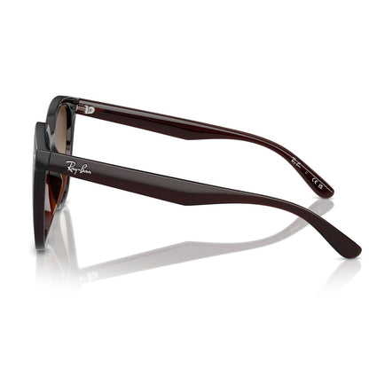 Ray-Ban 4423D Transparent Brown Brown Gradient RB4423D 714/13 (66)
