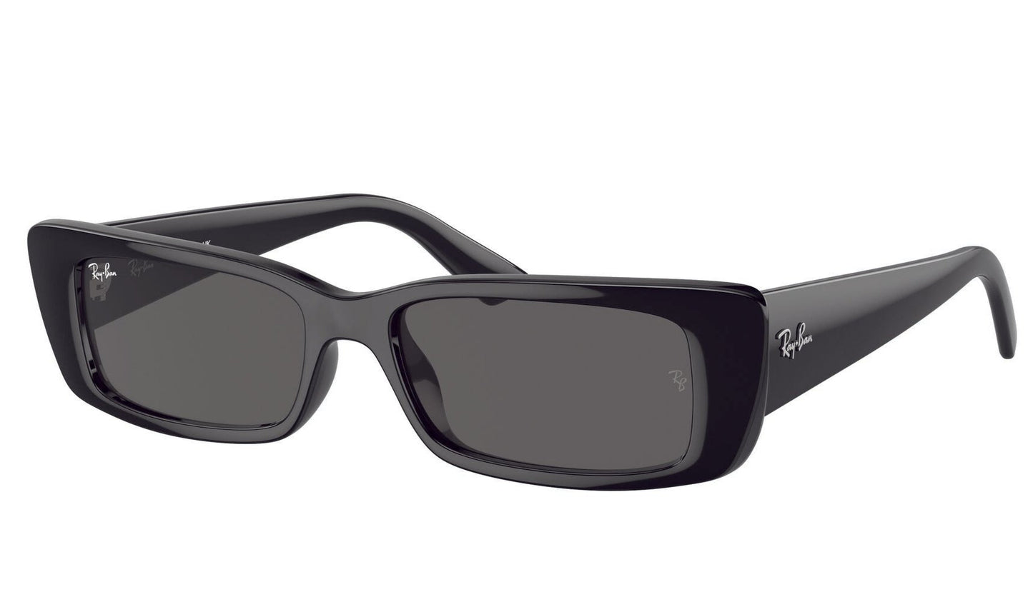 Ray-Ban Teru 4425 Black Dark Grey (4425 667787)