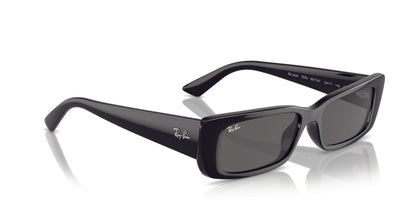 Ray-Ban Teru 4425 Black Dark Grey (4425 667787)