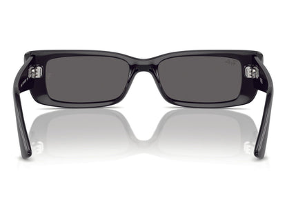 Ray-Ban Teru 4425 Black Dark Grey (4425 667787)